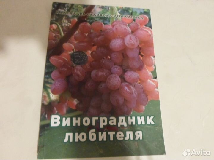 Комнатные растения,виноград,витамины