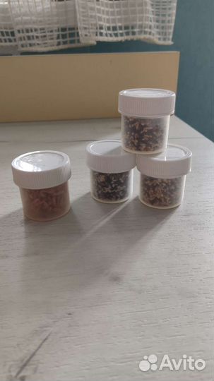 Муравьиная ферма