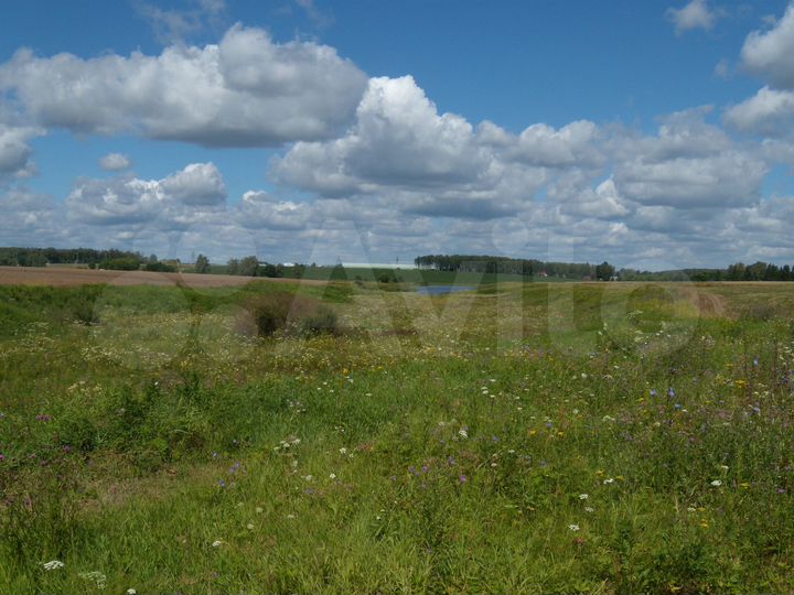 Участок 25 га (ИЖС)