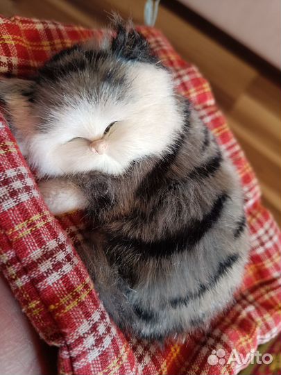 Игрушка котенок на подушке