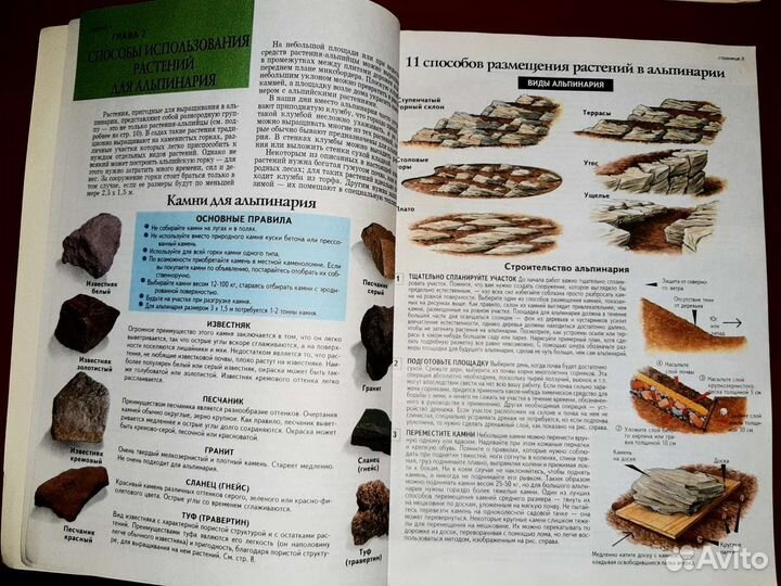 Все об альпинарии и водоёме в саду