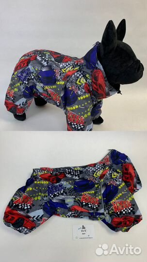 Одежда для бульдогов