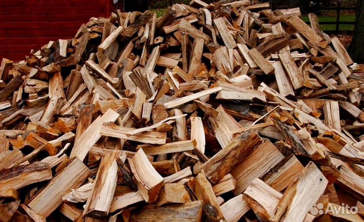 Дрова летней заготовки