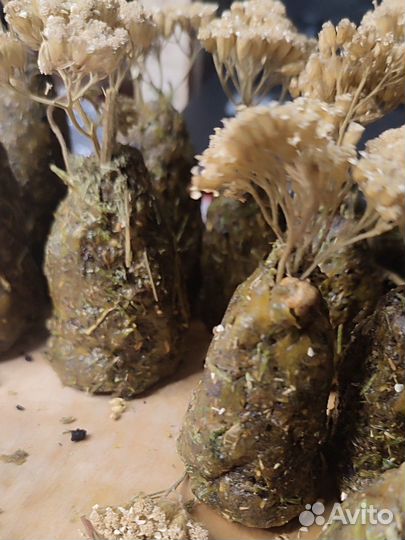 Бесфитильные травяные свечи