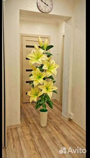 Интерьерные цветы