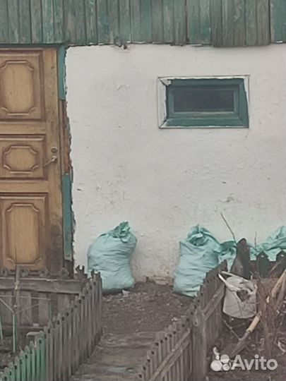 Куриный помёт