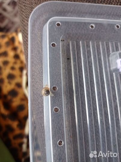 Продам улитят