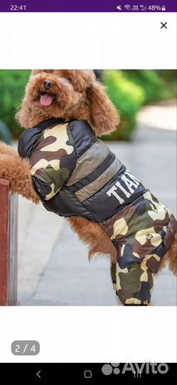 Комбинезон для маленькой собаки зима