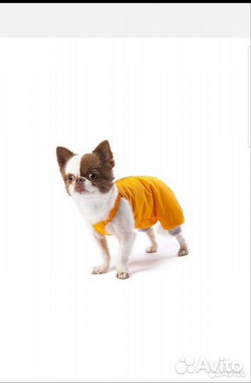 Теплый комбинезон для собак мелких пород