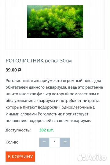 Роголистник в ассорти Аквариумные растения и рыбки