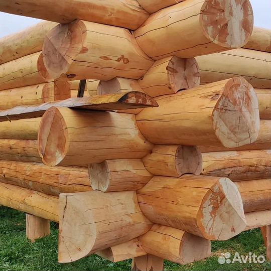 Сруб из бревна