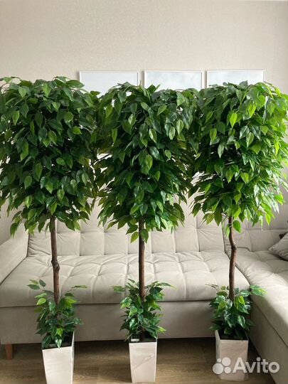 Искусственные цветы деревья пальмы