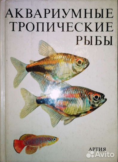 Аквариумные тропические рыбы