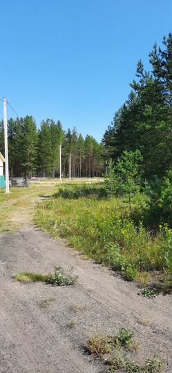 Участок 10 сот. (ИЖС)