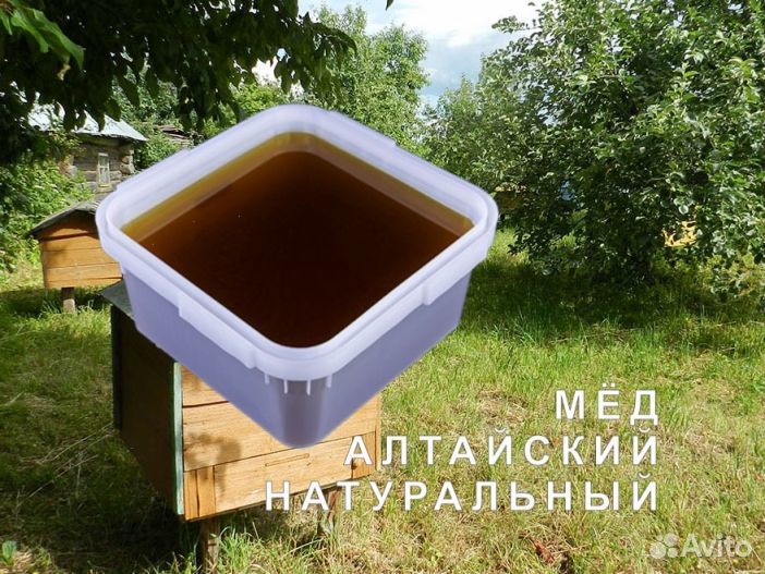 Мед натуральный из Алтая опт