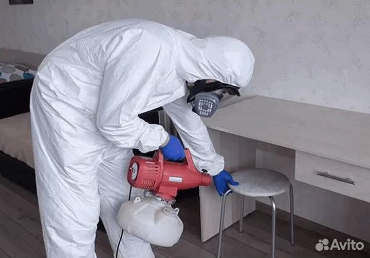 Уничтожение клопов тараканов грызунов блох