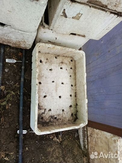 Пенопластовый ящик