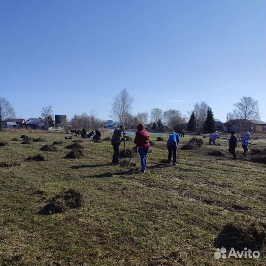 Уборка на даче узбеки универсалов