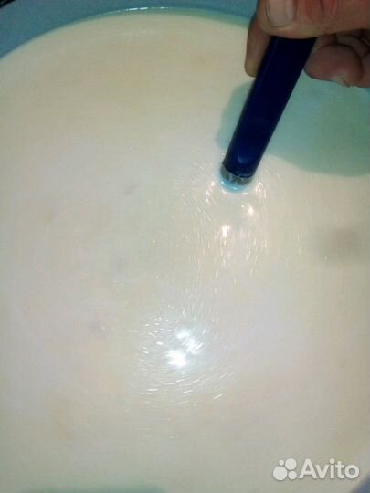 Козий сыр и молоко