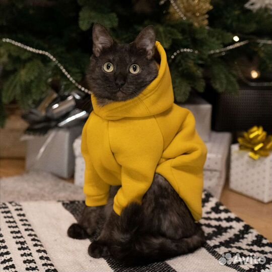 Утепленное худи толстовка для кошек и собак мелких