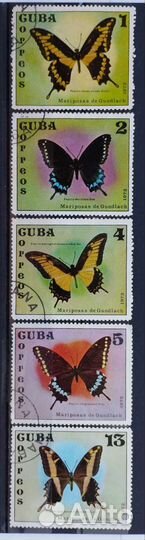 Куба. Фауна. 49 марок, начиная с 1969 года