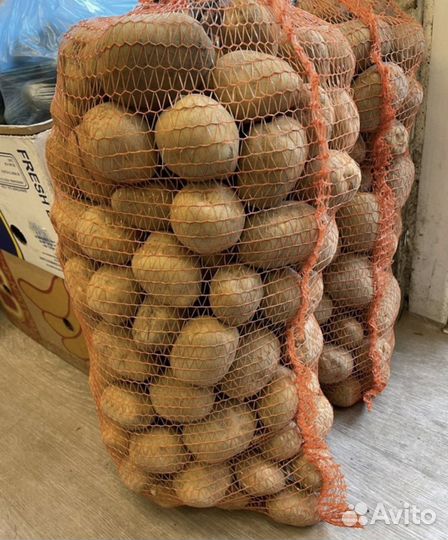 Картошка оптом