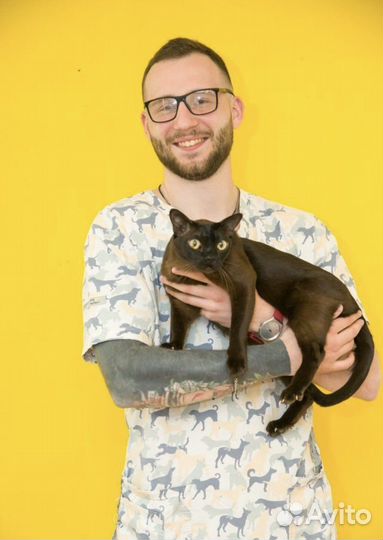 Ветеринарный врач на дом круглосуточно