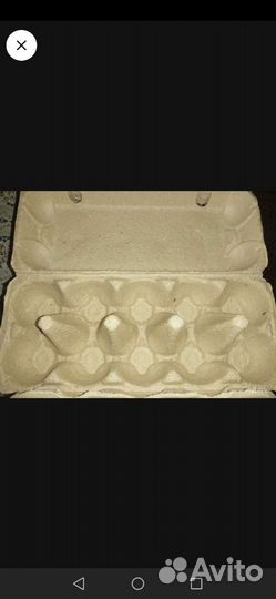 Ячейки для яиц на 30 и 10 шт