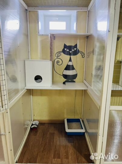 Гостиница для животных, передержка-кошек, собак