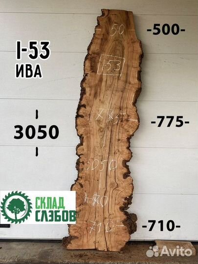 Слэб спил ивы