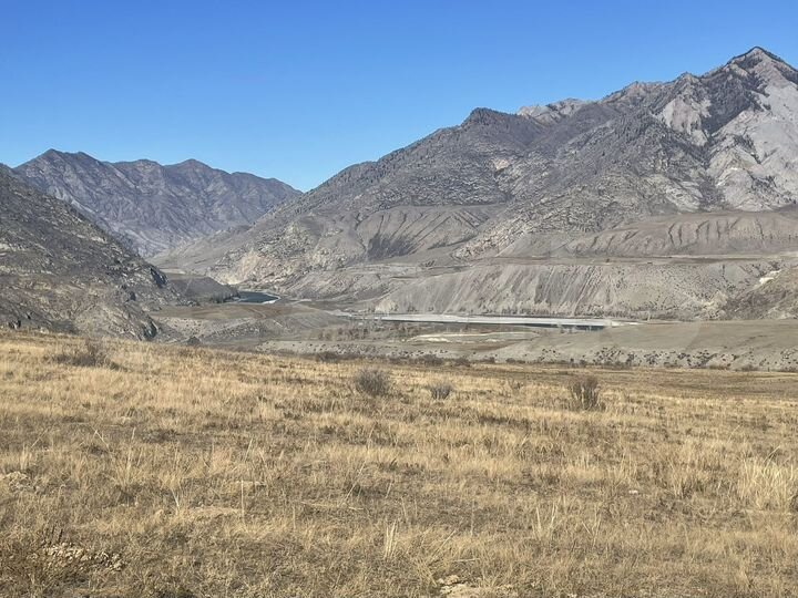 Участок 100 сот. (СНТ, ДНП)