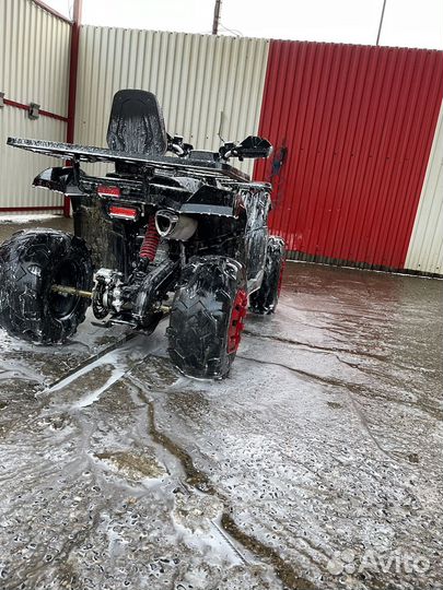 Avantis hunter 200 new lux