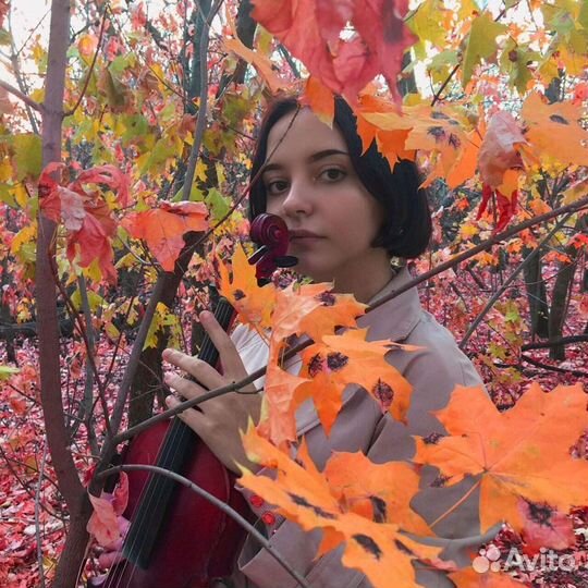 Репетитор по скрипке/фортепиано