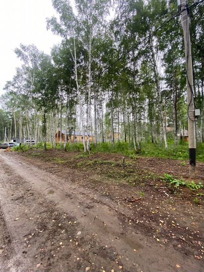 Участок 20 сот. (СНТ, ДНП)