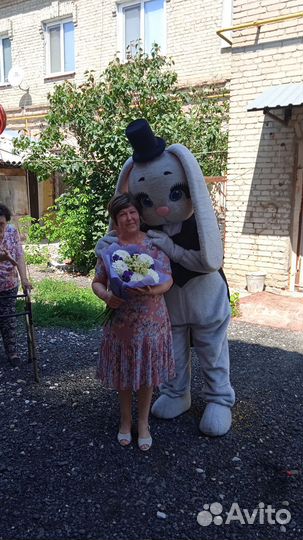 Экспресс поздравление, зайчик, мишка,аниматор