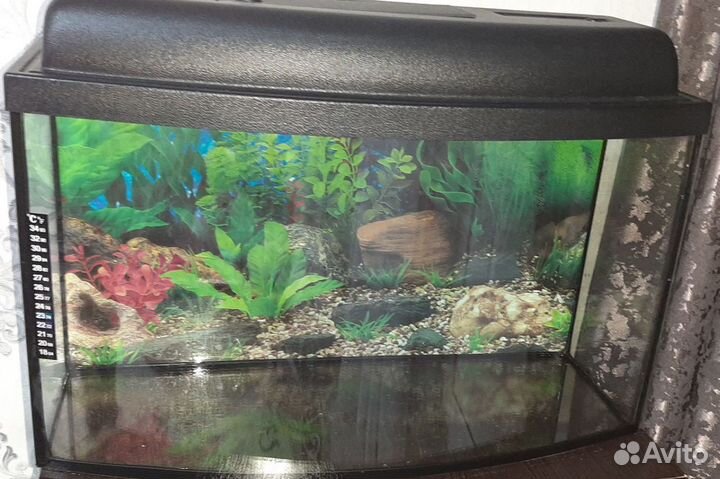 Аквариум