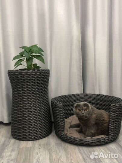 Лежанка для животных