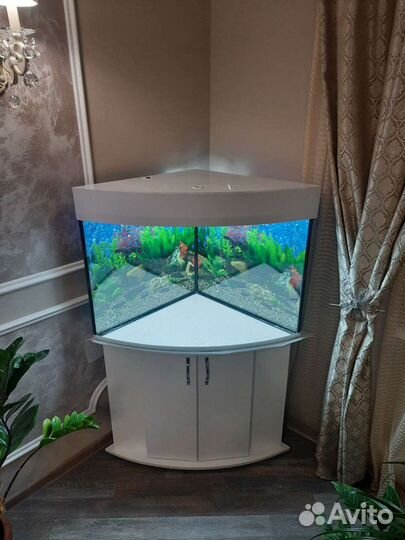 Аквариумы угловые
