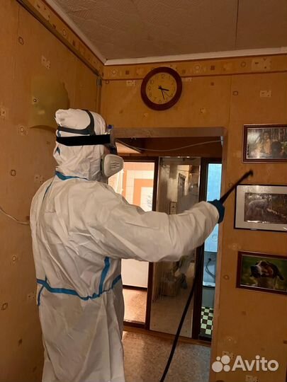 Уничтожение клопов и тараканов. Частный мастер