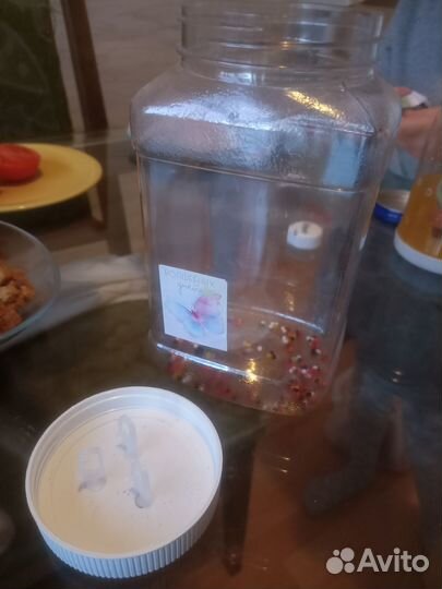 Бабочкарий