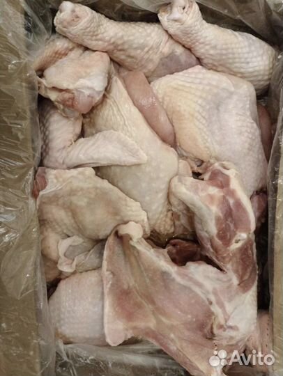 Индейка домашняя