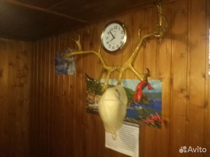 Русская баня