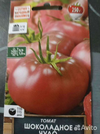 Рассада помидор