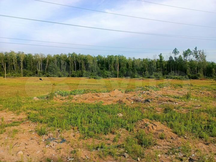 Участок 6,5 га (ИЖС)