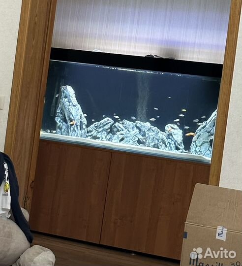 Декорации для аквариума Deksi