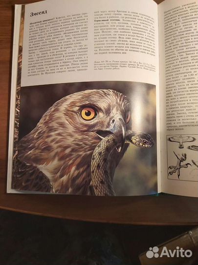 Энциклопедии.Тайная жизнь животных(комплект из 3 к