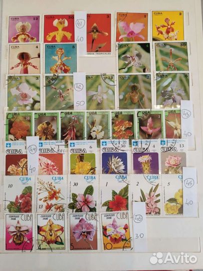 Почтовые марки Куба флора и фауна. Часть 2