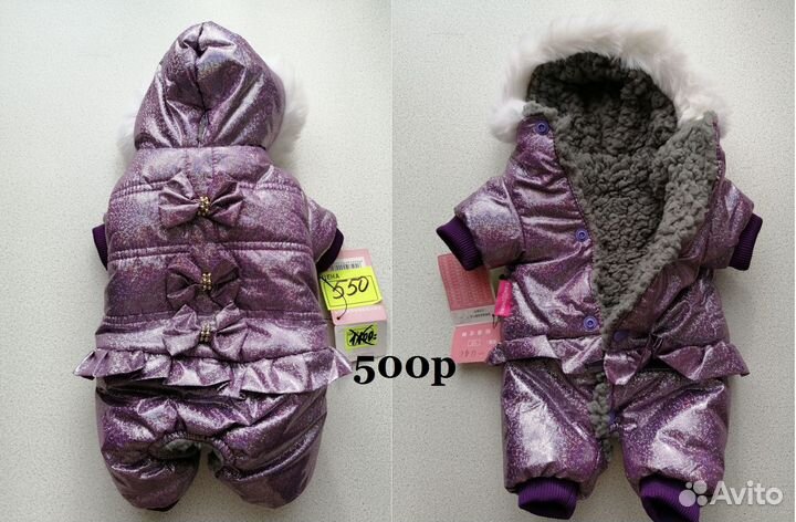 Одежда для животных