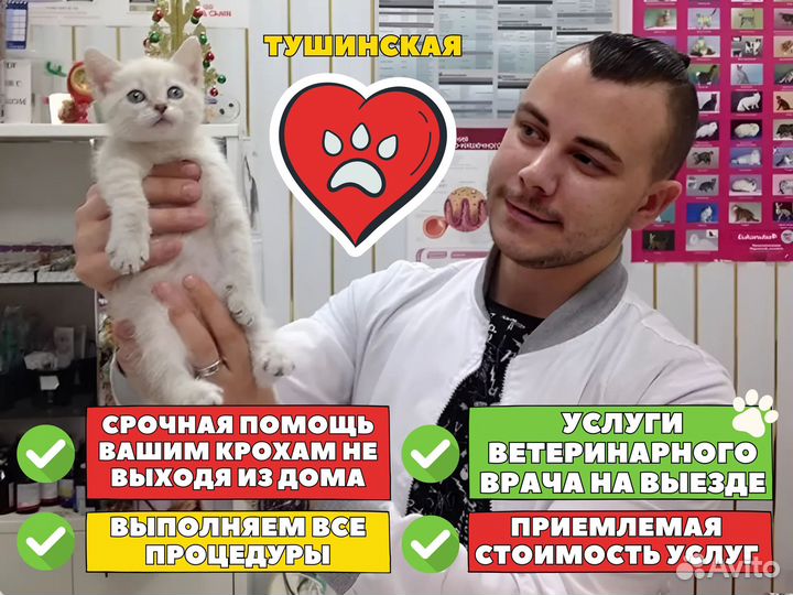 Ветеринарный врач. Выезд на дом