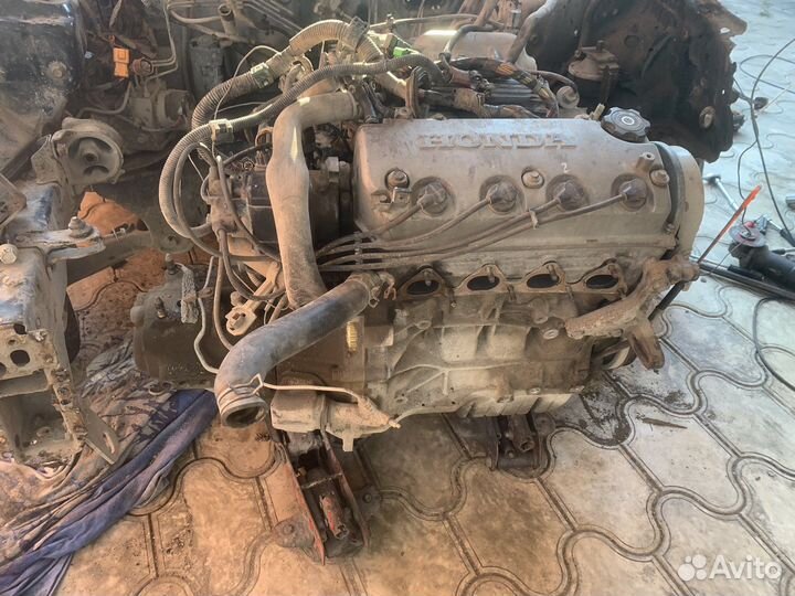 Двигатель d15z6 honda civic ek ej